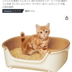 子猫用 トイレ