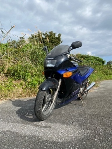 不動ZZR250 売