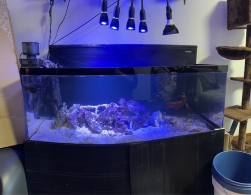 値下げ1200×600×450 水槽セット