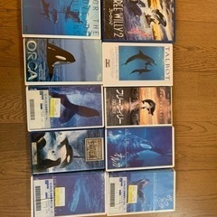 海洋生物のVHS