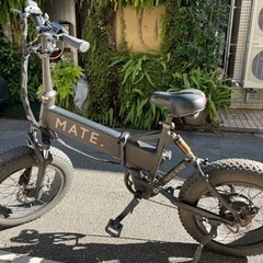 MATE X 250 自転車 全自動スロットル付き