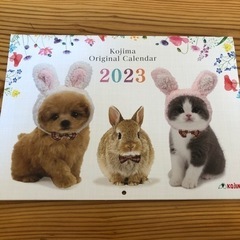 2023年カレンダー④