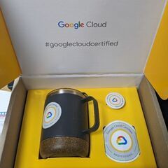 Google Cloud Certified Professio...