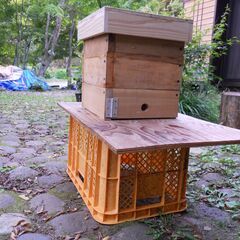 ニホンミツバチの重箱式2段巣箱×3セット(待受用)