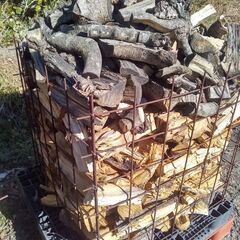 ●引取限定●未乾燥 広葉樹 規格外 薪 0.729㎥に山盛り