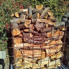 ○引取限定○広葉樹ミックス 未乾燥 規格外 薪0.729㎥に山盛り