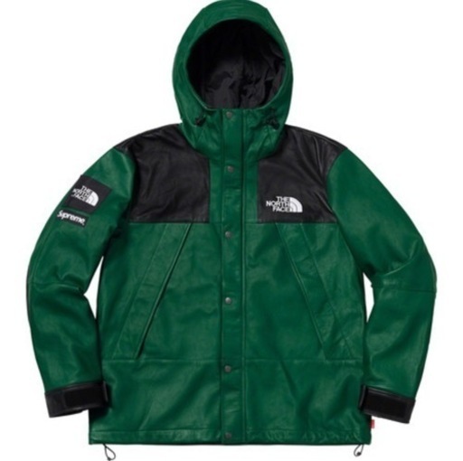 その他 Supreme NorthFace Leather Mountain Parka
