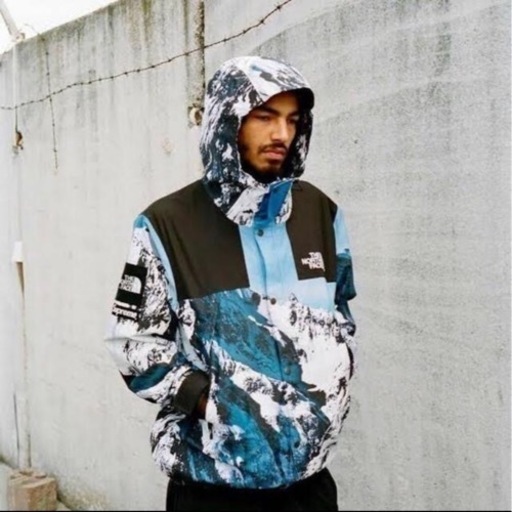 Supreme The North Face Mountain Parka 雪山