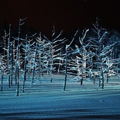 カメラ活動／冬「2〜3月」に美瑛・富良野で絶景の風景写真撮影・星景写真撮影できる方の画像
