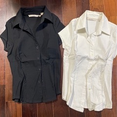 Zara Basic 半袖シャツSサイズ