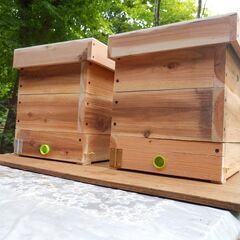 【ネット決済】日本ミツバチの重箱式2段巣箱×2セット(待受用)