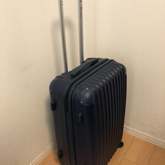 スーツケース（Mサイズ）