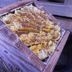 ニホンミツバチの重箱式2段巣箱×3セット+オリジナル巣箱台 