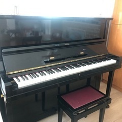 ディアパソンの中古が安い！激安で譲ります・無料であげます(2ページ目  