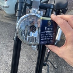 ビーチクルーザー ナーブ、スウィッチブレイド