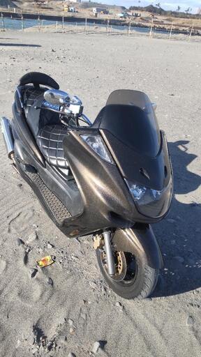 お話中 マジェスティ250C  ブラウンメタリック