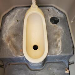 決まりました、仮設トイレ　