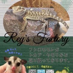 浦添市屋富祖にある爬虫類と小動物のお店『Rey's Factor...