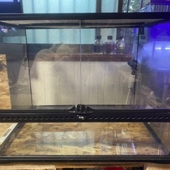 GEX EXOTERRA グラステラリウム 6045 PT2610 両開きフロントドア 爬虫類飼育ケージ W61.5×D46.5×H48cm