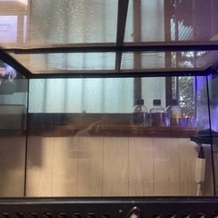 GEX EXOTERRA グラステラリウム 6045 PT2610 両開きフロントドア 爬虫類飼育ケージ W61.5×D46.5×H48cm