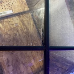 GEX EXOTERRA グラステラリウム 6045 PT2610 両開きフロントドア 爬虫類飼育ケージ W61.5×D46.5×H48cm