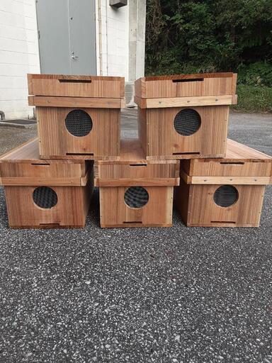 養蜂 巣箱 5箱セット