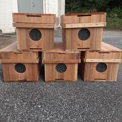 養蜂 巣箱 5箱セット