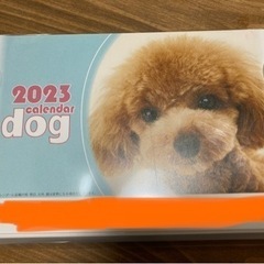 新品　2023  令和5年度　卓上 動物　犬　dogカレンダー