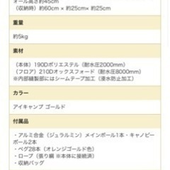 【値下げしました】ワンポールテント