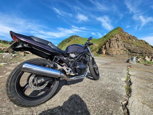 バリオスZR250A カスタム多数　45馬力