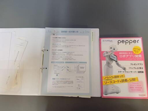 ジャンク】SoftBank Paper ロボット ペッパー君 自動充電器付 | pneumo