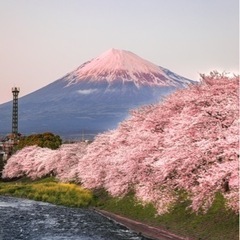 旅行好きなカメラ友達