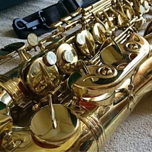 2/10最終処分予定】最終価格ケルントナーのアルトサックス