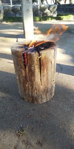 お手軽にキャンプ