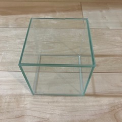 苔リウム用のガラス容器