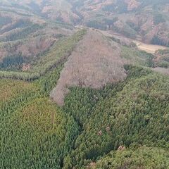 【成約済】山林物件111 福島県郡山市の画像