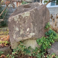 大きい庭石