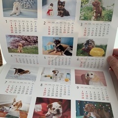 カレンダー　子犬