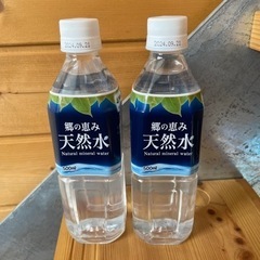 ペットボトルの天然水