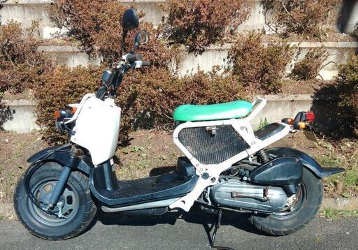 ズーマー 白 (1792) ズーマー ライブディオ ZX AF35 フロントフォーク