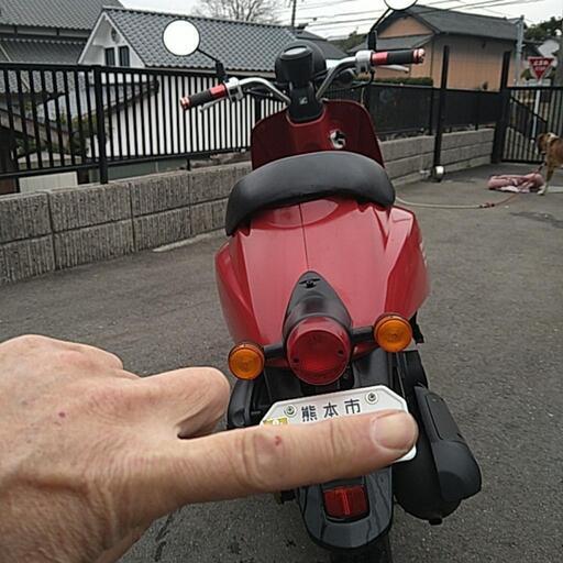 HONDA TODAY ありがとうございました〜決まりました！ 【公式通販】