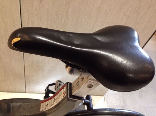 ☆6784☆KEISER カイザー エアロバイク インドアサイクルマシン