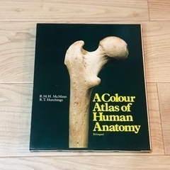 人体解剖カラーアトラス 二国語版 医学書