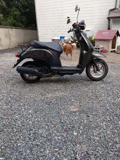 af61 ホンダ トゥデイ 外装新品 走行2700K af61 ホンダ トゥデイ 外装新品 走行2700 楽天市場】トゥデイ af61