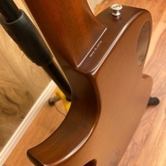 Zemaitis A24SU NP Heart