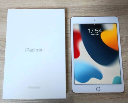 iPad mini 5 wi-fi 64GB ゴールド | www.sportique.nu