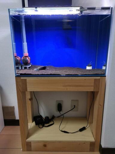 60cm水槽せート