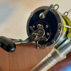 Penn Senetor ペンセネター 9/0 と　ロッド  