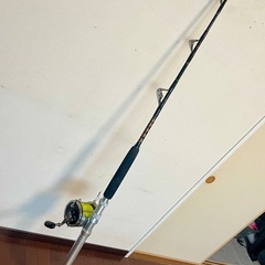 Penn Senetor ペンセネター 9/0 と　ロッド  