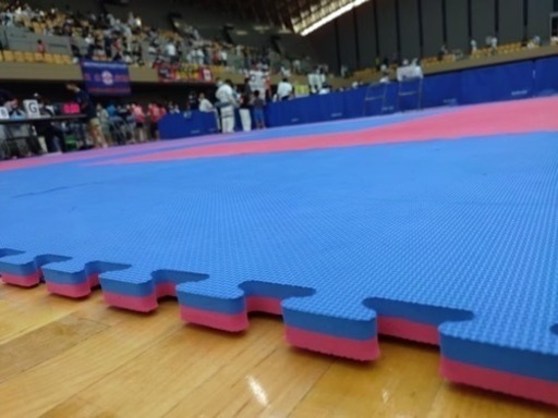 10枚セット】ジョイントマット大判 在庫処分品 ハード 空手 柔術 合気道